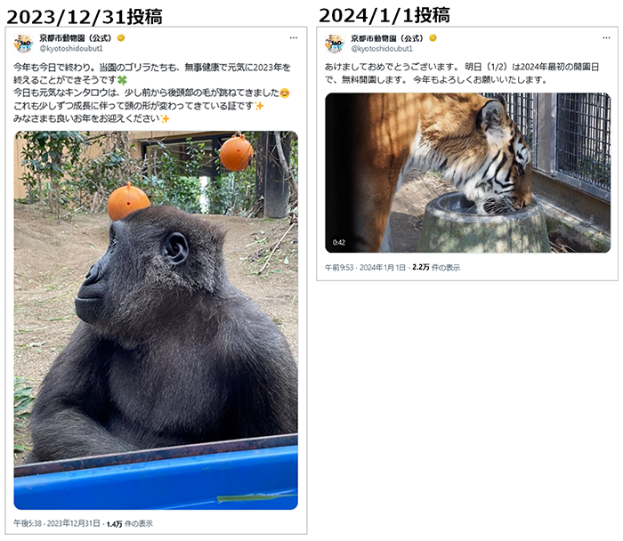 投稿イメージ：京都市動物園の注目してほしいのはYoutubeでゴリラのモモタロウもキンタロウを紹介しつづけ、さらにX（Twitter）では園内の他の動物や活動状況を発信しるなど、SNSを活用したプロモーションは参考にお勧めします。