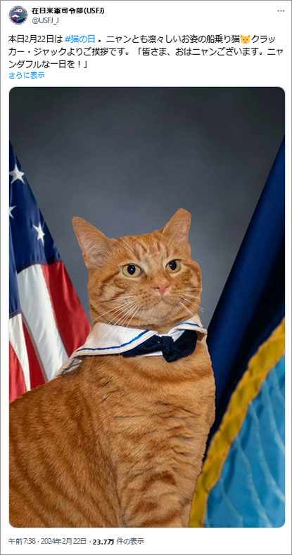 投稿参考イメージ：在日米軍司令部にX（Twitter）アカウントがあることをこの猫の日投稿で知りしました、硬いイメージのある組織や団体はこのような投稿をでアカウントの存在を拡散される例だと思います。